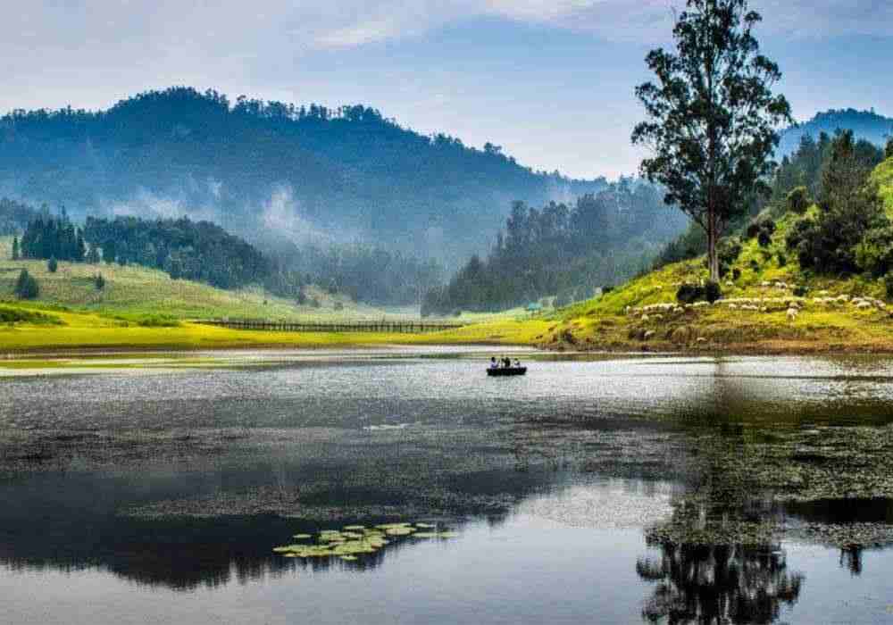 Where is kodaikanal Located? Coimbatore to Kodaikanal Travel Guide (Distance, Weather & Top&nbsp;Places)